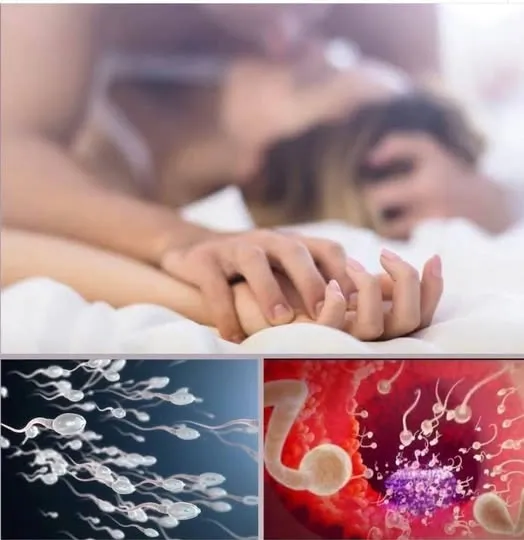 Many know! Studies reveal that swallowing your partner’s semen…