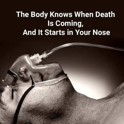 The Body Knows When Death is Near, and It Begins in Your Nose