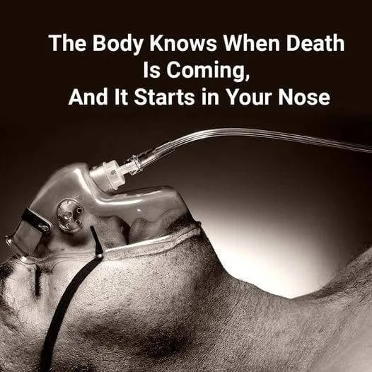 The Body Knows When Death is Near, and It Begins in Your Nose
