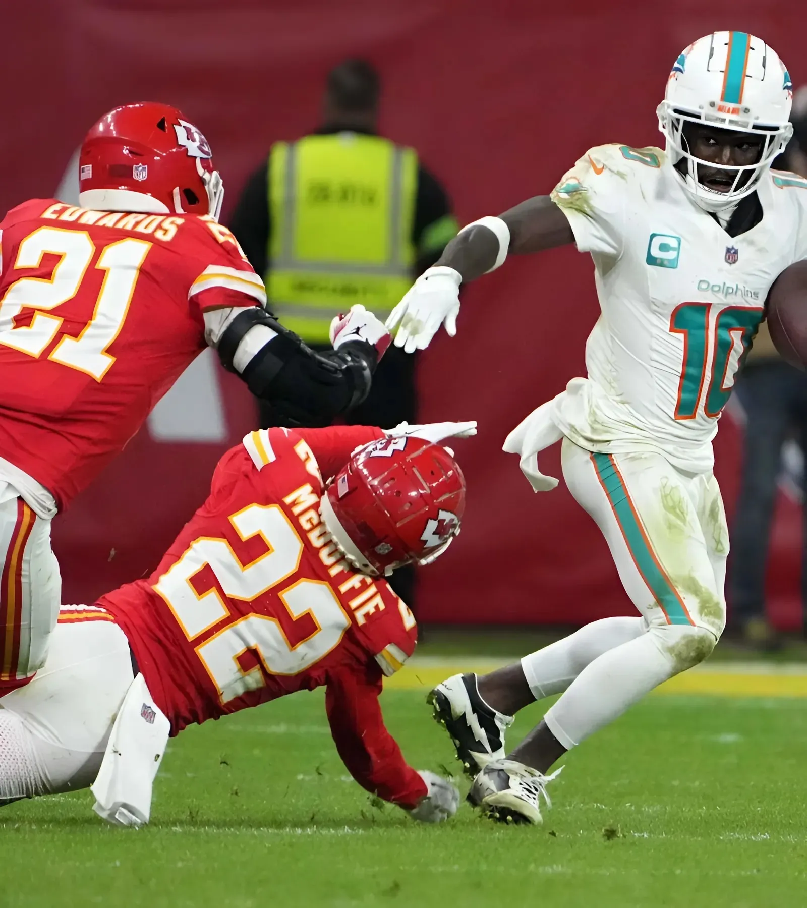 Dolphins Among Travel Leaders in 2025 (With an Important Caveat)