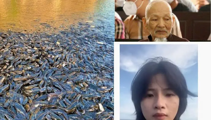 Sợ quá! Thầy ông nội đã lĩnh án, bố mẹ Diễm My vẫn chưa tìm được con g:á:i sau 4 năm tìm con vào Tịnh thất Bồng Lai: Dân mạng thắc mắc liệu có phải đã tan biến dưới hồ cá trê?