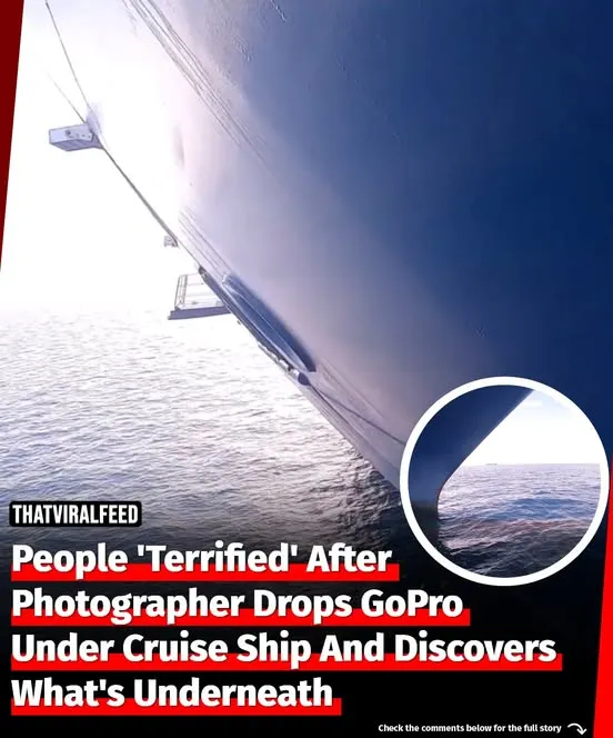 People 'Terrified' After Photographer Drops GoPro Under Cruise Ship And Discovers What's Underneath