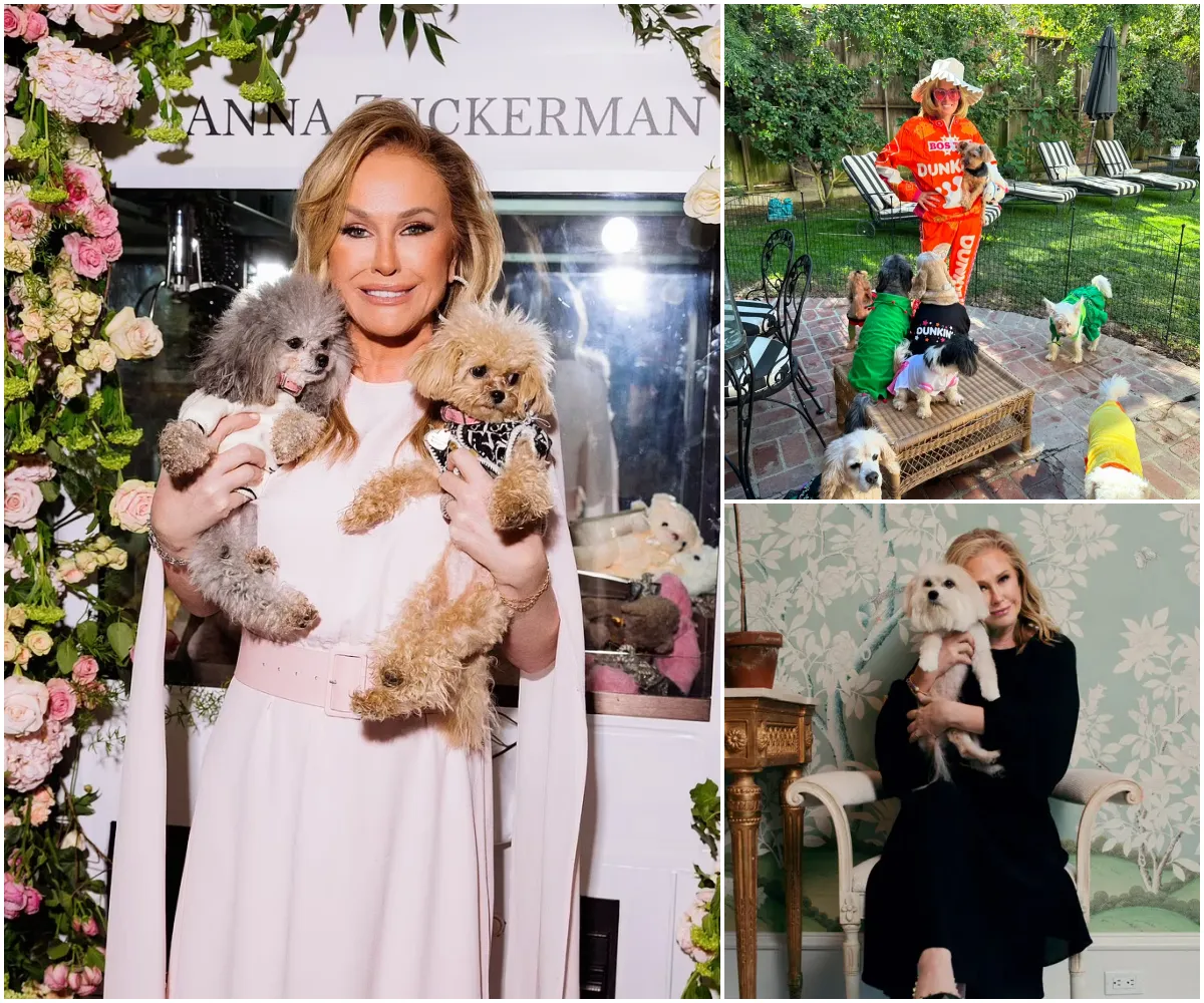 Kathy Hilton announced she will invest 10 million dollars in a project full of love and hope – a "paradise" dedicated to stray dogs, a place that will become a home ... - suong