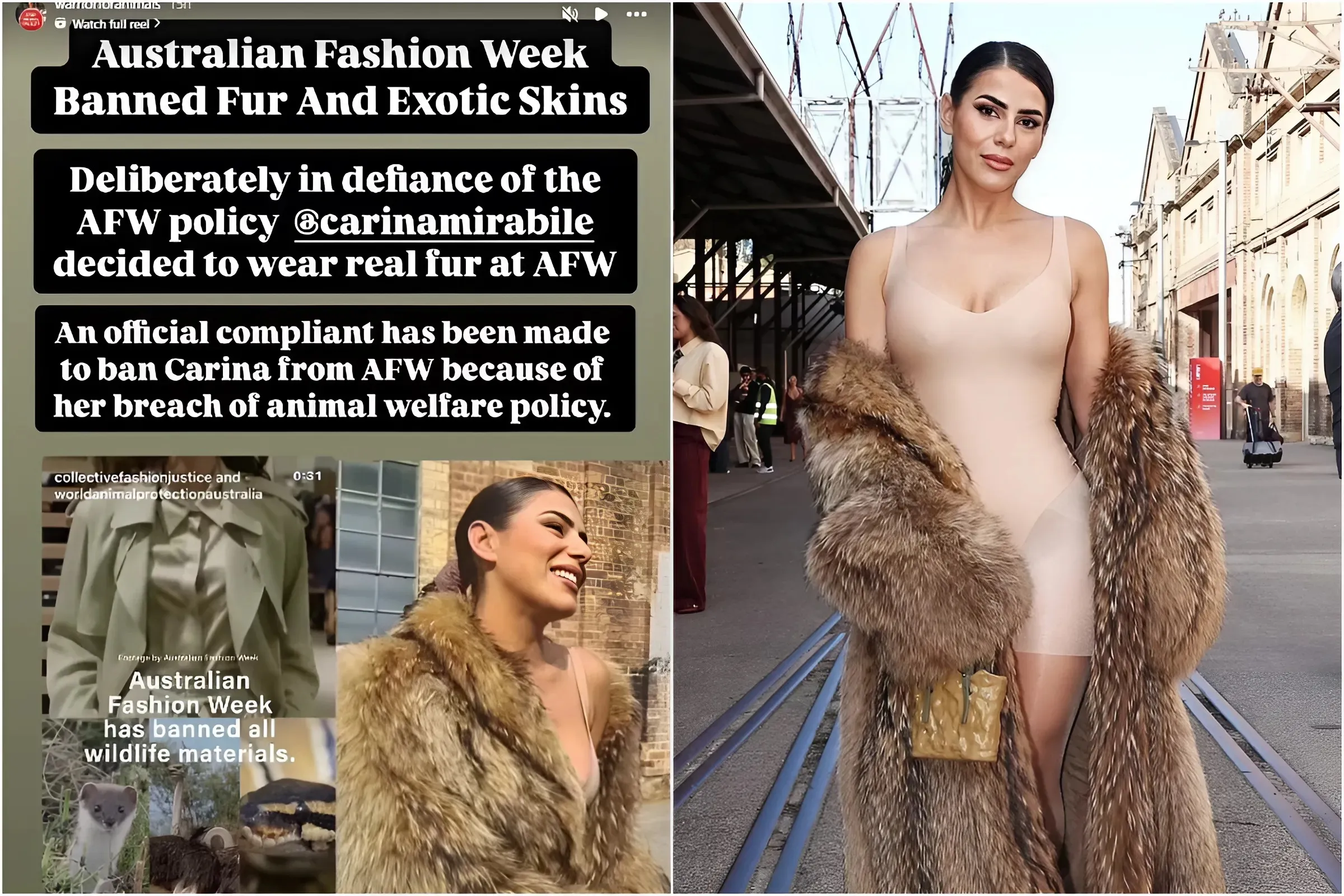 Married At First Sight Celeb Claps Back Amid Criticism for 'Fur' Outfit at Fashion Week Post 'Animal Skins Ban' trucc