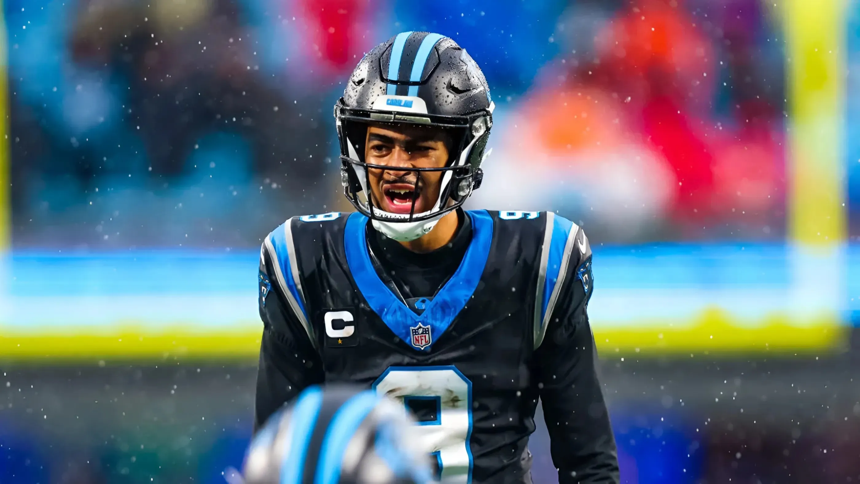 ESPN ratings for each Panthers unit paints picture of genuine roster improvement