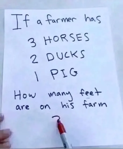 16. Brain Teaser: How Many Feet Are On The Farm?