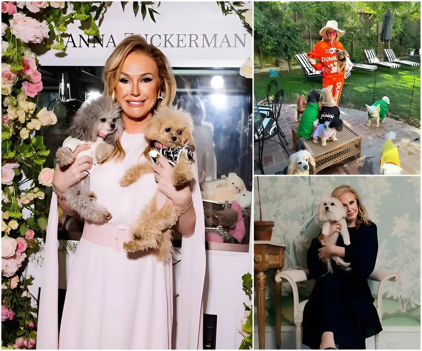 Kathy Hilton announced she will invest 10 million dollars in a project full of love and hope – a "paradise" dedicated to stray dogs, a place that will become a home ...