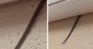 P3. Online user finds creepy object hanging from ceiling