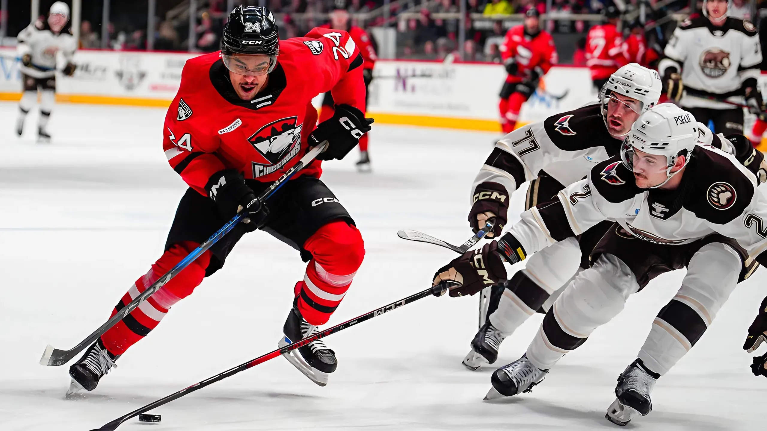 Rasmus Asplund Seals Game 2 with Overtime Winner, Charlotte Takes Commanding 2-0 Series Lead over Hershey trucc
