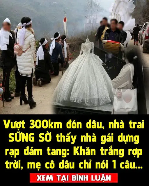 Đến đón dâu, nhà trai thấy nhà gái dựng rạp đám tang: Khăn trắng rợp trời, mẹ cô dâu chỉ nói 1 câu