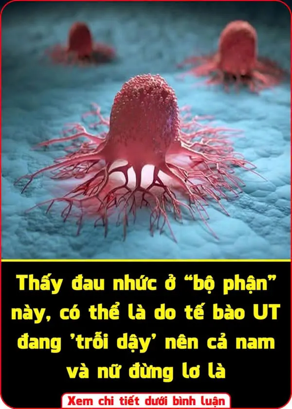 Thấy đau nhức ở “bộ phận” này, có thể là do tế bào ung thư đang ‘trỗi dậy’ nên cả nam và nữ đừng lơ là