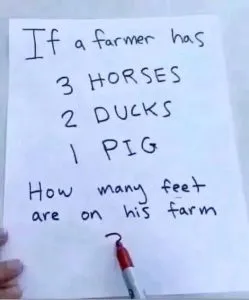 P4. Brain Teaser: How Many Feet Are On The Farm?