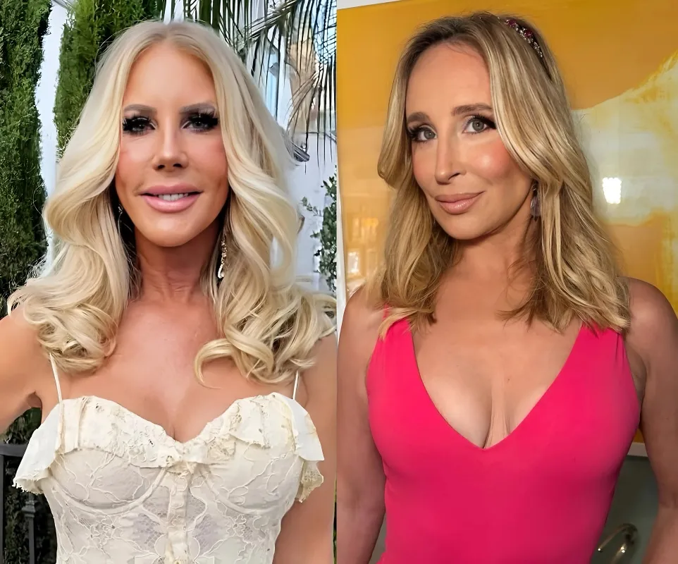 Vicki Gunvalson Confronts Sonja Morgan Over Unpaid Restaurant Bill as Owner Shares Perspective; Vicki Drops Clues on RHOC's New Season Exclusion - lulu
