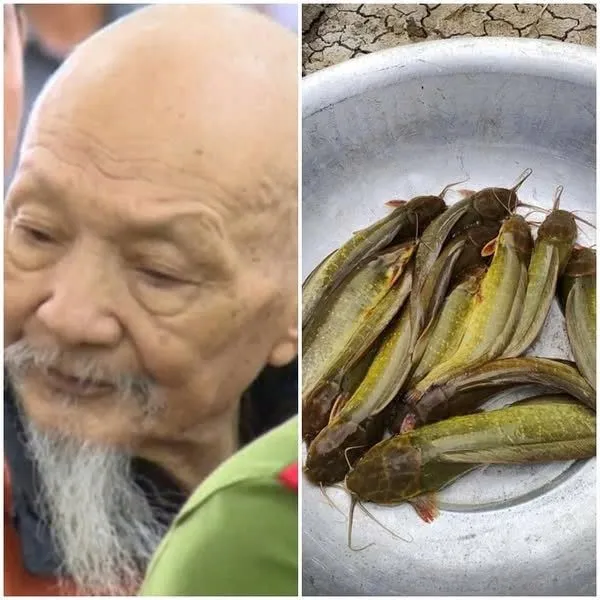 Xét nghiệm ADN tìm tung tích Diễm My và sự thật r-ùng mình về ao cá trê 20 tấn trong Tịnh Thất Bồng La