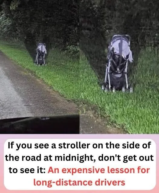 Woman Issues Frightening Warning After Finding a Stroller Abandoned on the Side of The Road