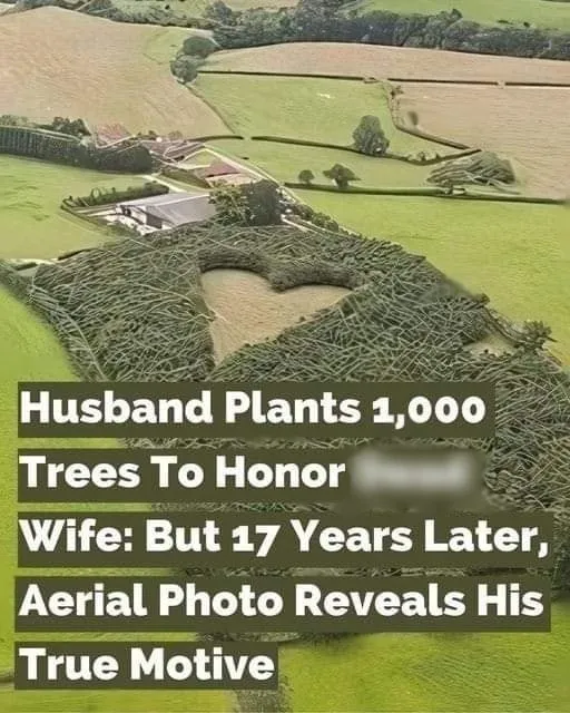 Farmer Plants 1,000 Oak Trees to Create Memorial for Late Wife