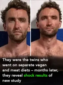 Twins reveal results of separate plant-based vs animal-based study