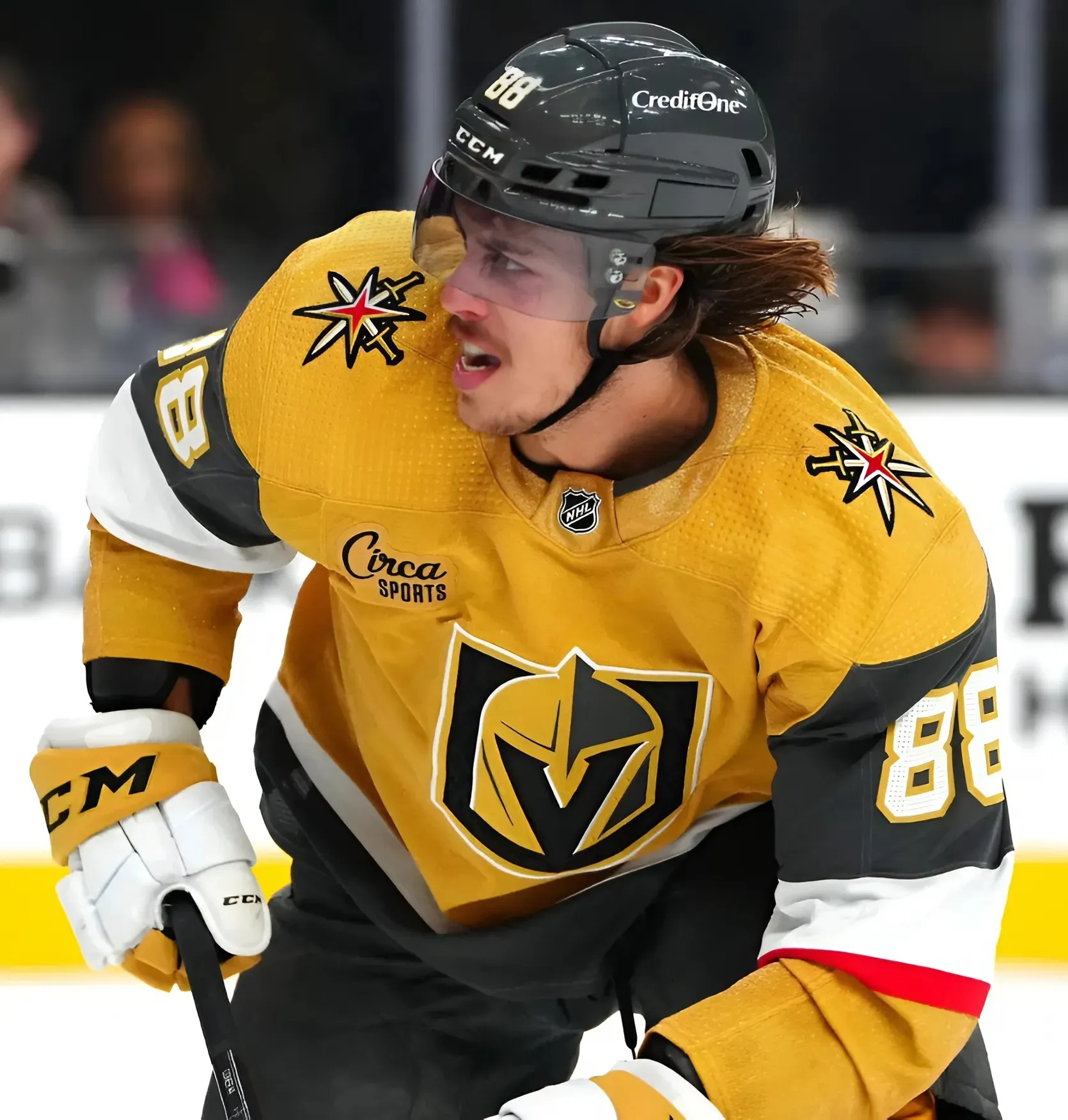Report: Red Wings Interested in NHL Return for Former Ducks Second Rounder