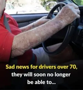 Should Seniors Face Stricter Driving Rules? A New