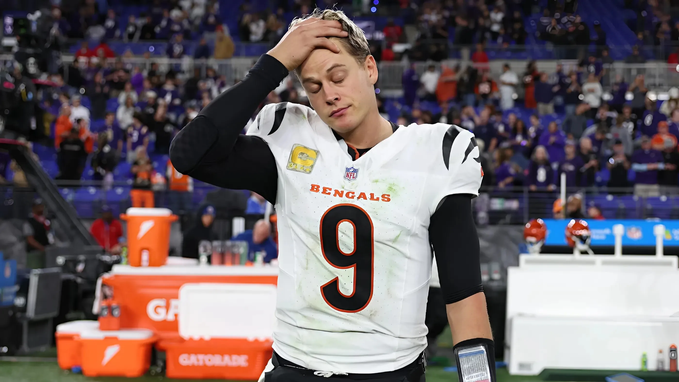 Thanksgiving came early for Ravens fans as Joe Burrow's complaints made the menu