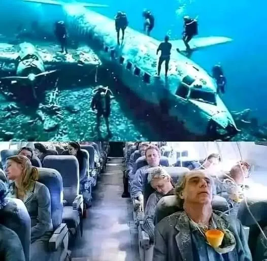 They find missing plane after 40 years with over 92 pa… See more They find missing plane after 40 years with over 92 pa… See more