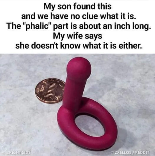 16 Odd Objects That Stumped the Internet