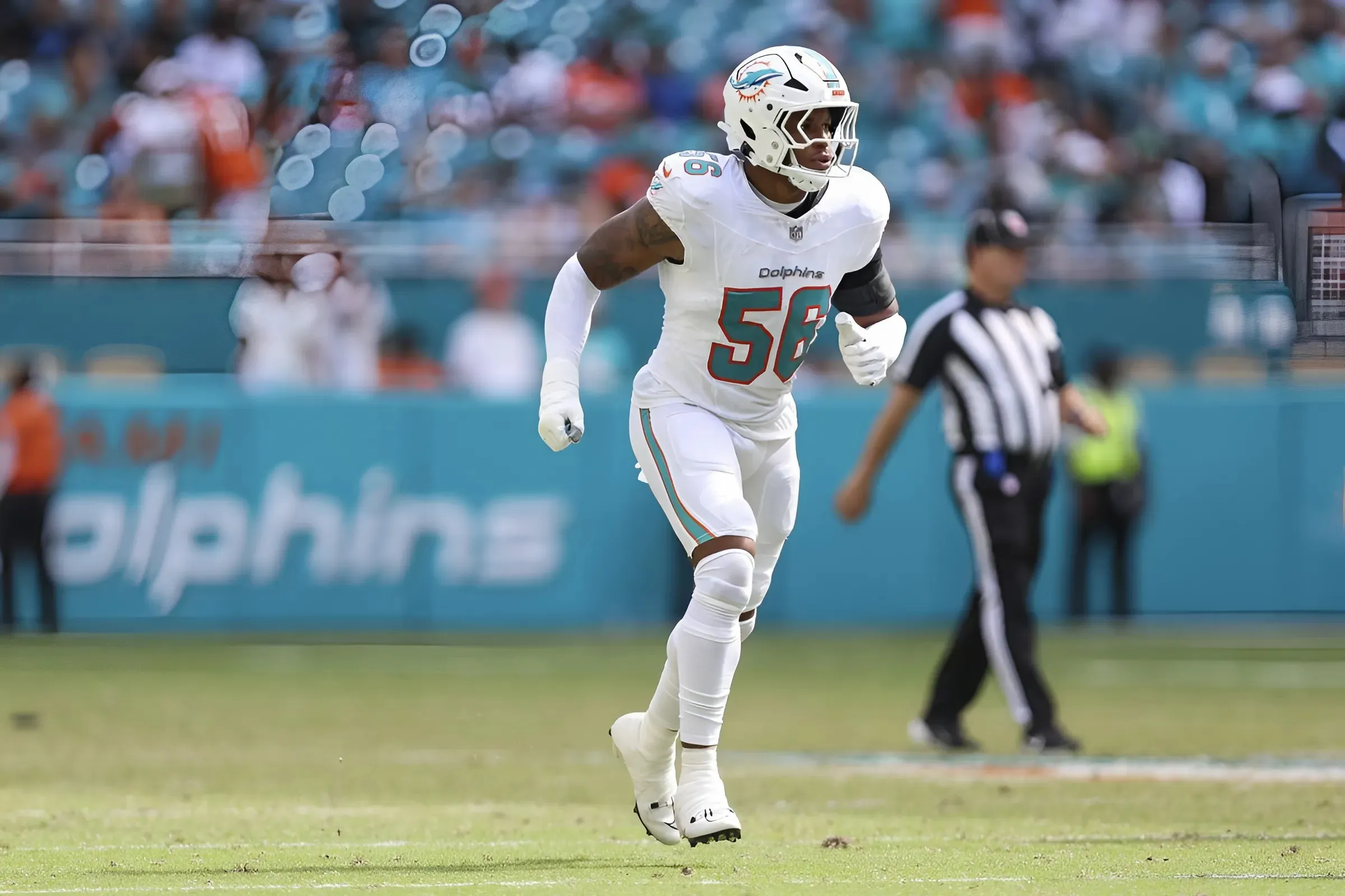 Dolphins waive LB Bradley-King, sign QB Gabbert