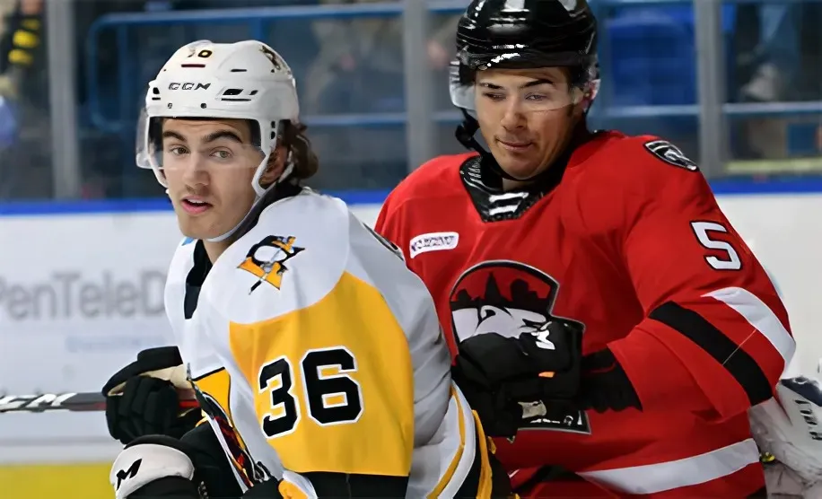 Scranton Penguins sign forward Brayden Edwards Scranton Penguins sign forward Brayden Edwards