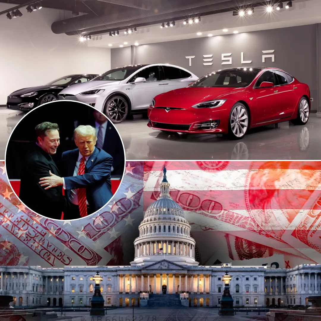 Elon Musk’s Political Investments: Gains and Losses in Tesla’s Struggles and $290,000,000 Bet