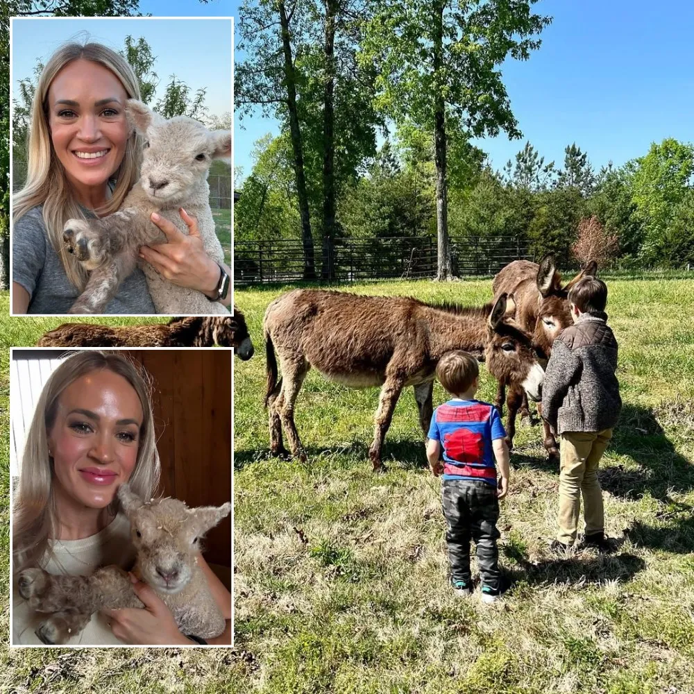 Just as Carrie Underwood settled back into her 400-acre Tennessee TRANGHO