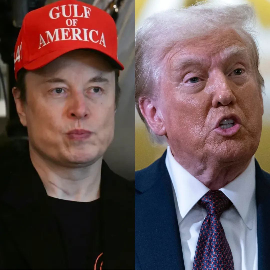 Elon Musk Thinks Trump Is an Idiot, Former White House Communications Director Reveals