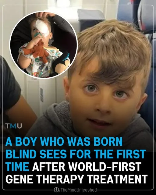 A Boy Who Was Born Blind Sees for the First Time After World-First Gene Therapy Treatment