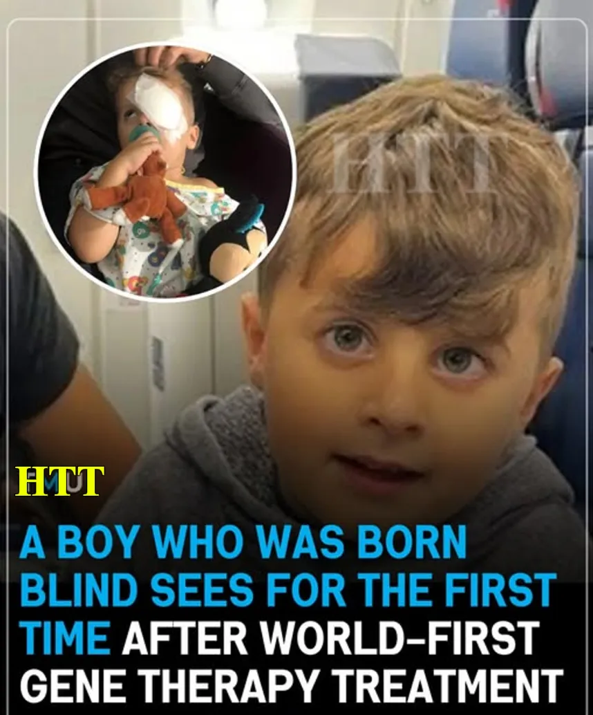 A Boy Who Was Born Blind Sees for the First Time After World-First Gene Therapy Treatment