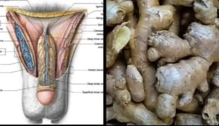 1🍆 Not as strong as before? 🍆 17 foods that will make you a beast in bed…see more
