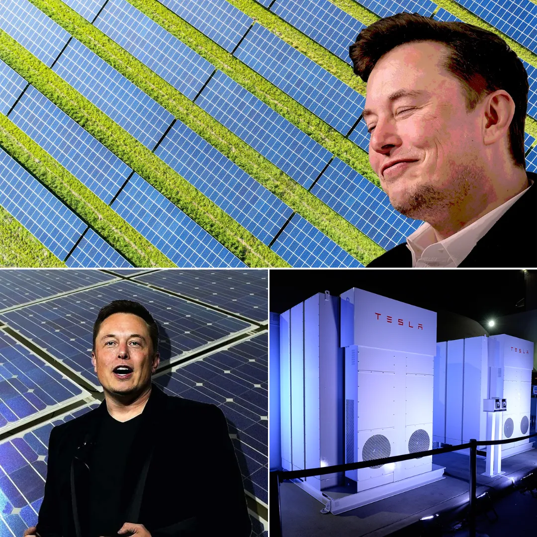 Elon Musk’s Revolutionary Role in Renewable Energy: A Visionary Who Changed the Future of Clean Technologies
