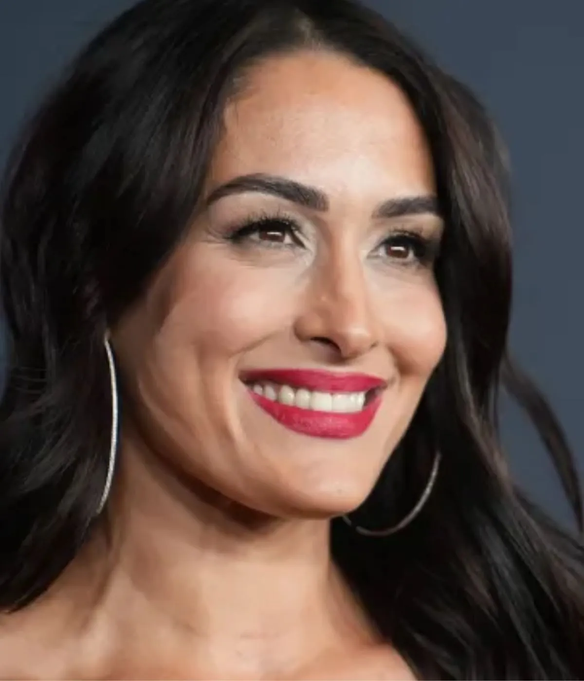 Nikki Bella and Artem Chigvintsev’s Divorce Settlement — Everything We Know