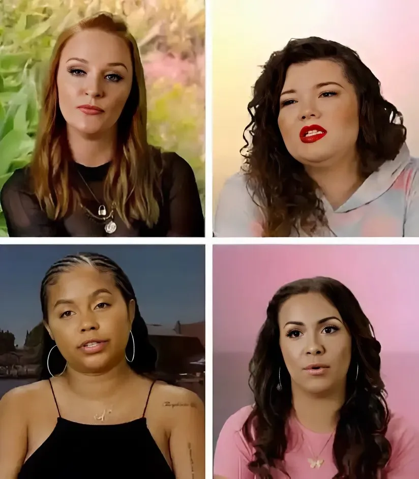 New details on cast-combination spinoff Teen Mom Legacy, find out which moms made the cut