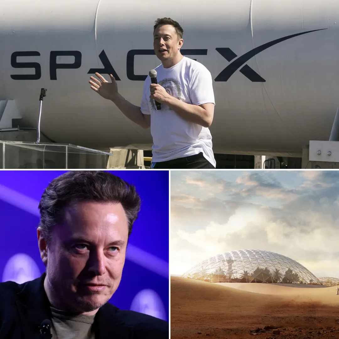 Elon Musk’s Mars Coconut Tree Joke Sparks Wild Speculation About Alien Tropical Beaches