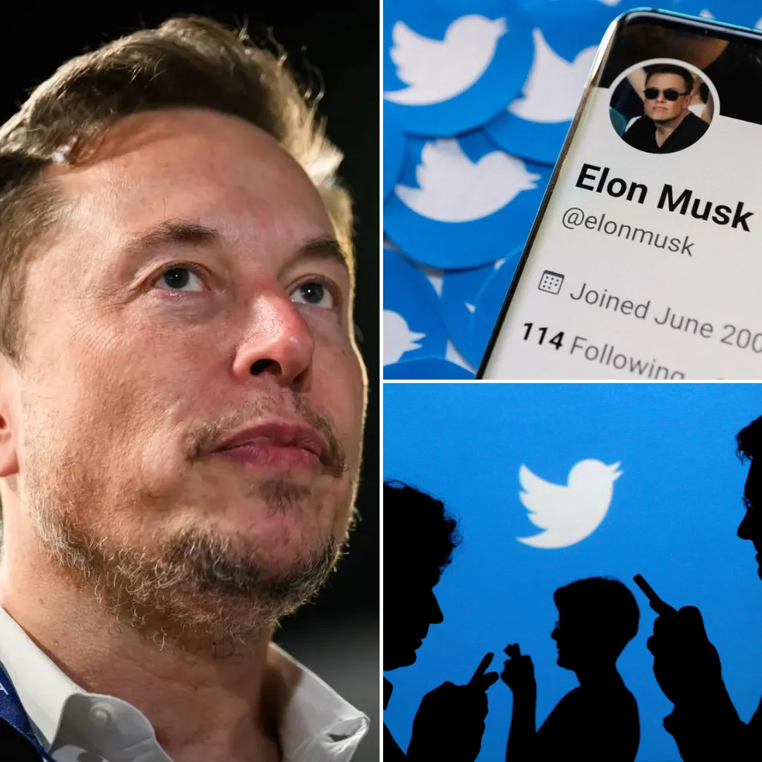 Elon Musk’s Twitter Takeover Sparks Fears Over Control of 450 Million Users’ Data