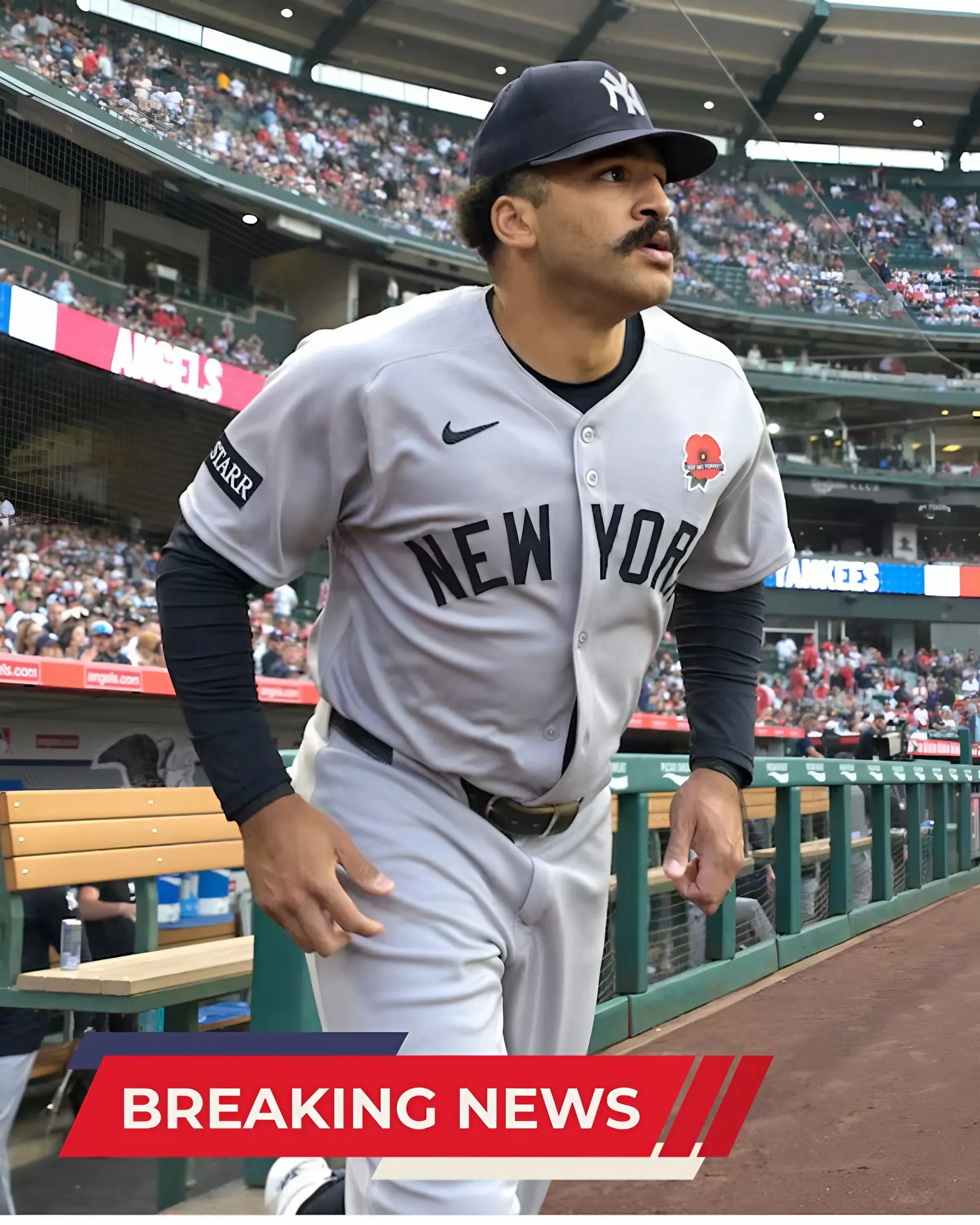 Carlos Rodon's 7 sharp innings send Yankees past Angels