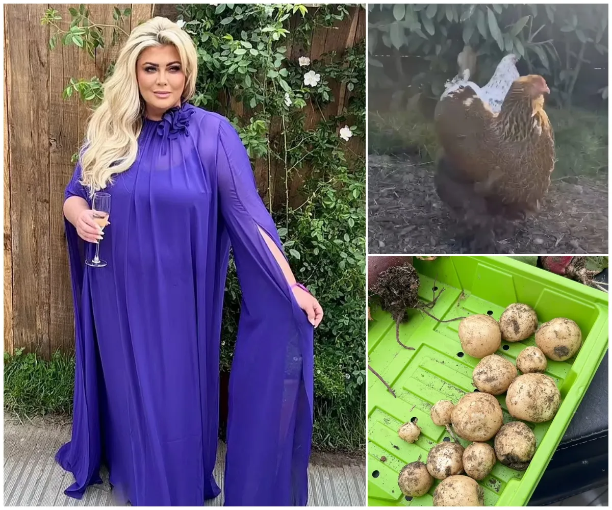 Gemma Collins turns farmer! Reality star grows her own veg, raises chickens and orders goats as she battles ‘Ozempic face’ fears after two stone weight loss thanks to controversial Mounjaro jab - suong