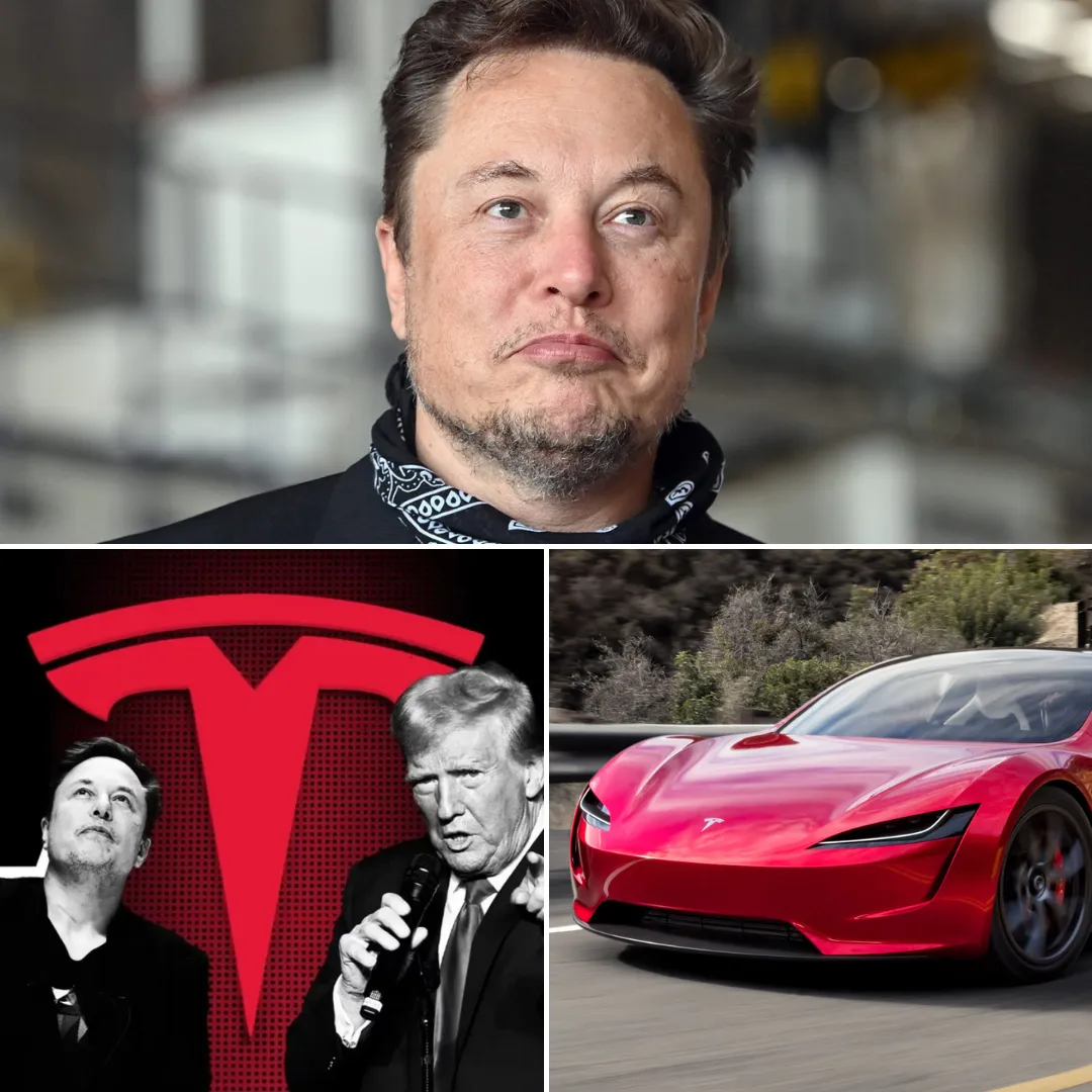 How Elon Musk’s Tesla Shattered Auto Industry Norms and Sparked a $1,000,000,000,000 EV Revolution