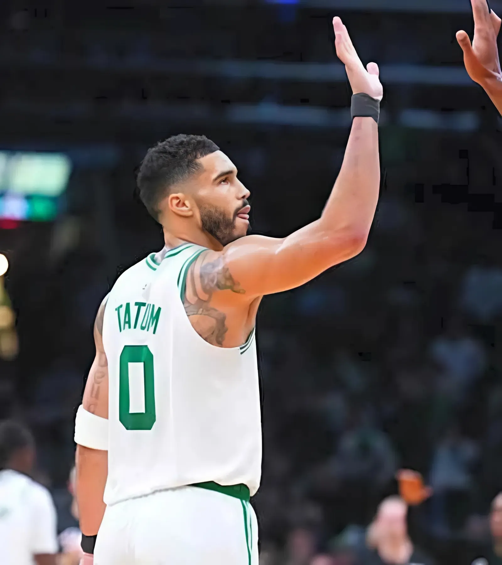 Celtics' Baylor Scheierman Reveals Impact of Jayson Tatum Mentorship