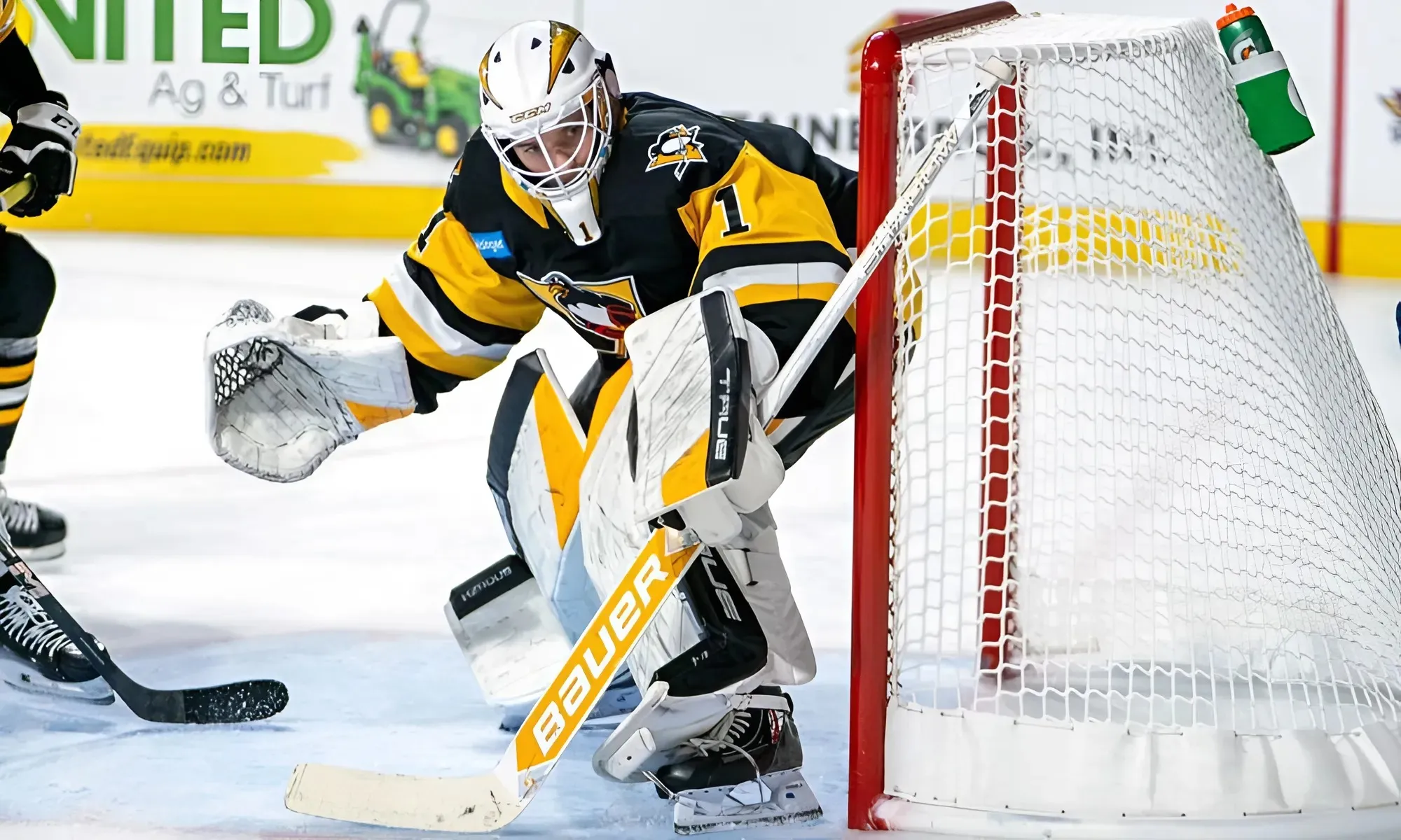 Murashov’s Meaningful Start with the Penguins