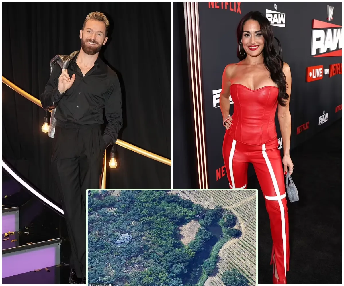 Artem Chigvintsev buys $915k house in Napa Valley after ex Nikki Bella is awarded marital property in divorce settlement - suong