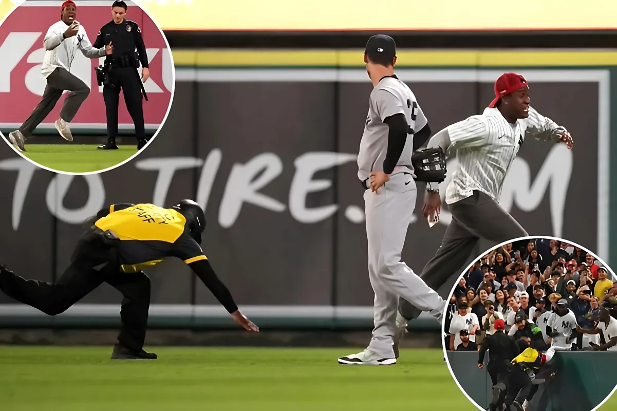 Yankees Fan's Daring Dash: Evading Security and Storming the Field in a Dramatic Standoff - lulu