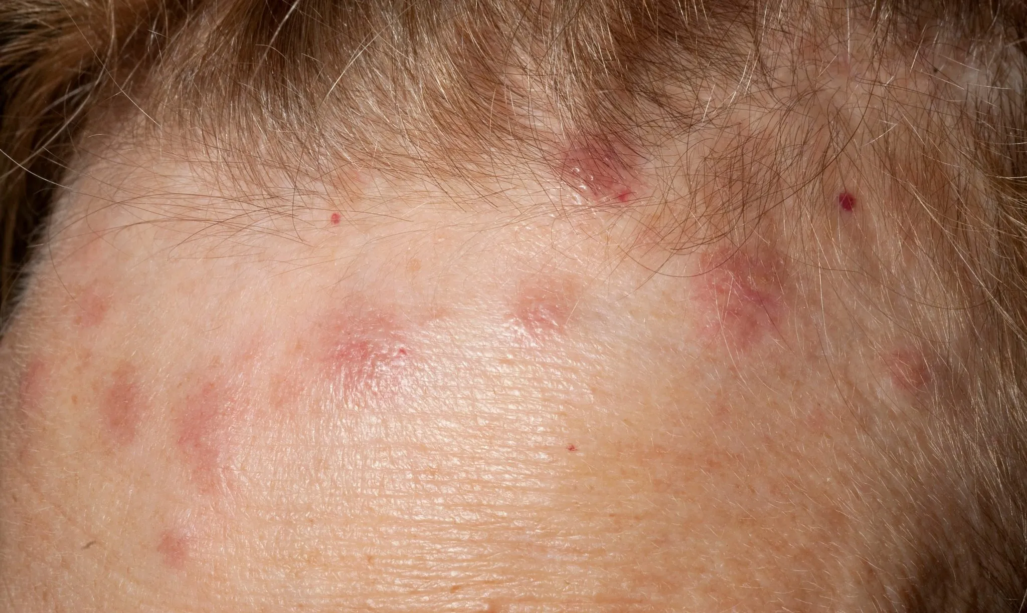 4. These are the signs that it is cre…See more