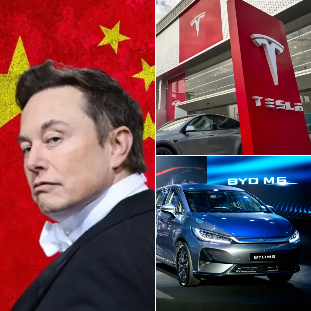 Elon Musk Announces Next Step to Directly Compete with China's BYD