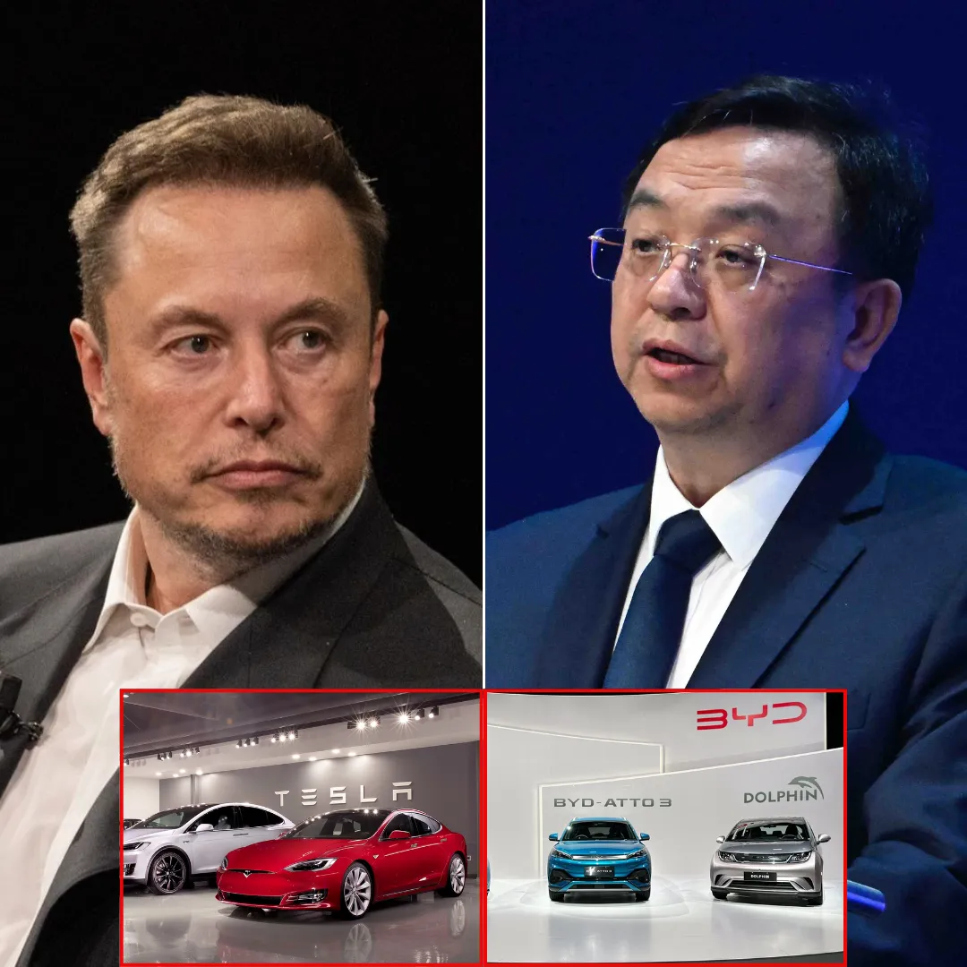BYD Poised to Overtake Tesla as Political Troubles Weaken Elon Musk