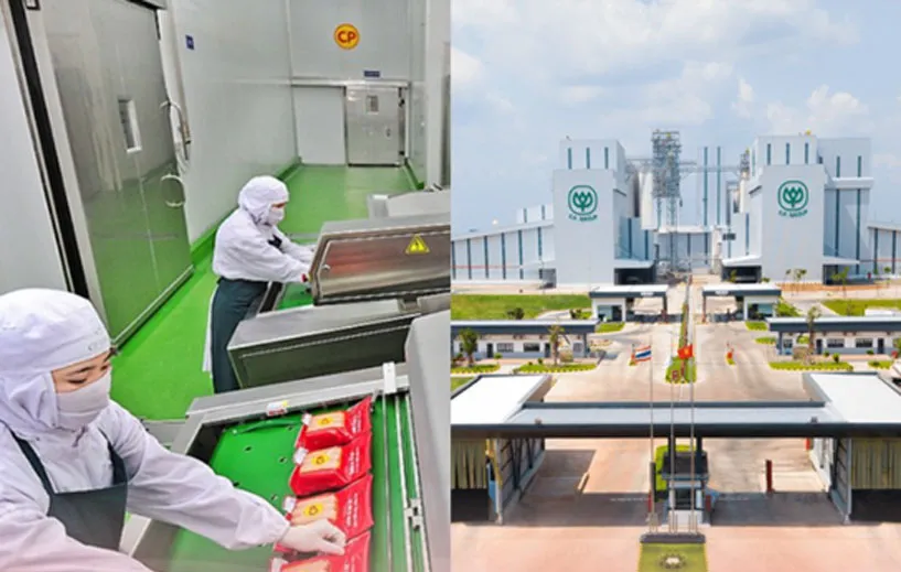 Quy mô khổng lồ của công ty C.P Việt Nam: 21 nhà máy trải khắp cả nước, thu về gần 100.000 tỷ đồng mỗi năm từ bán cám, thịt heo, gà… từng có năm lãi gần 20.000 tỷ